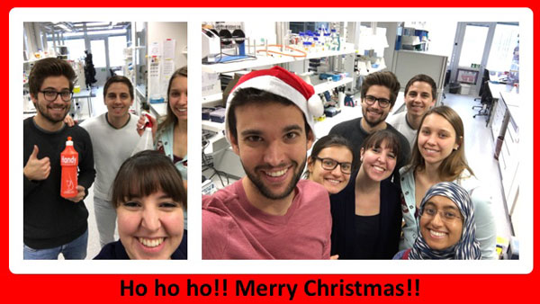 Lab cleaning day before Christmas